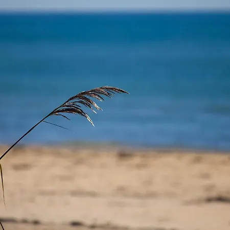 Bosco Canoro Aparthotel