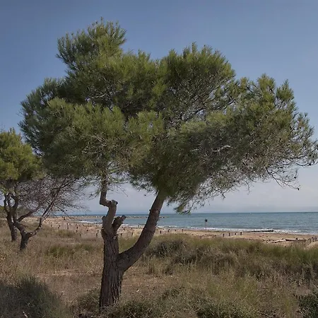 Aparthotel Bosco Canoro 4*