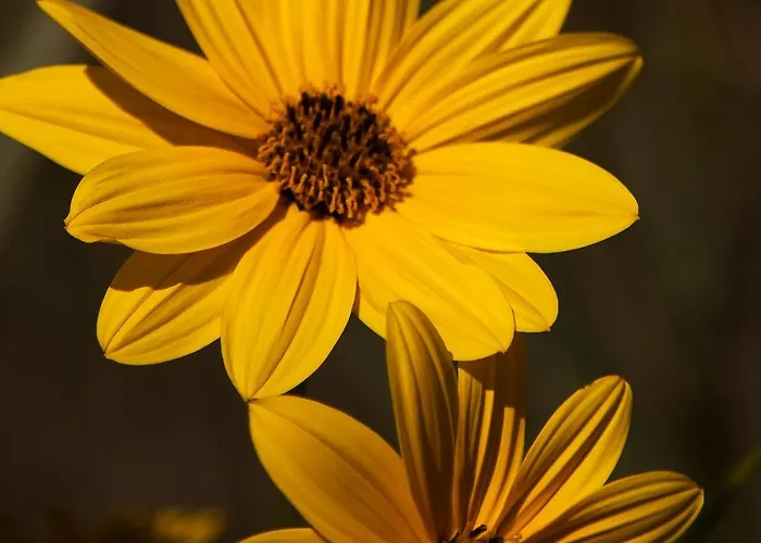 Bosco Canoro 4* Bibione