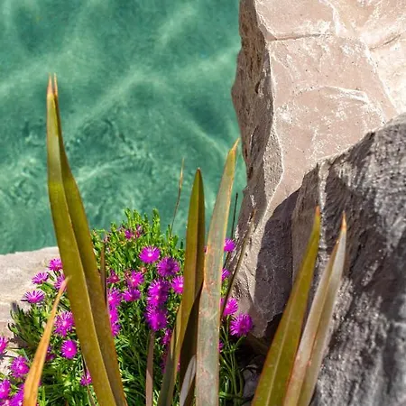 Bosco Canoro Aparthotel Bibione