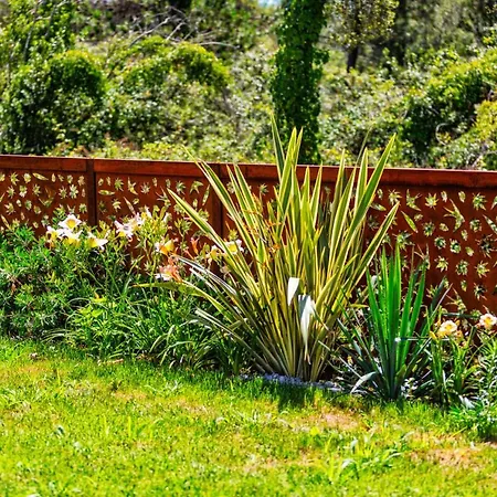 Bosco Canoro 4*