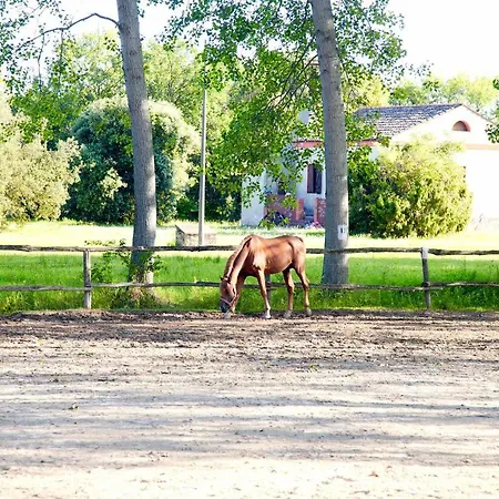 Bosco Canoro 4* Bibione