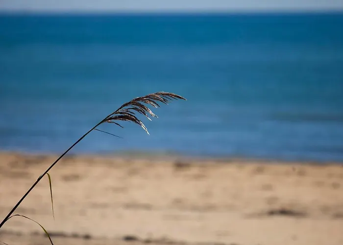 Bosco Canoro Апарт-готель