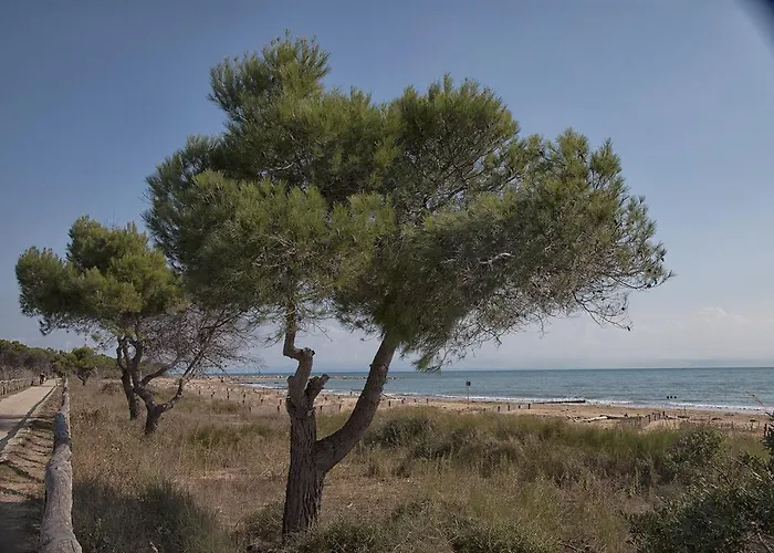 Apartmanhotel Bosco Canoro 4*